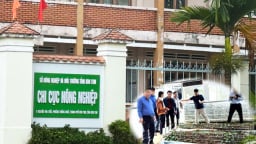 Sở NN&MT Kon Tum giải trình gì về vụ cấp mã vùng trồng sâm Ngọc linh cho doanh nghiệp?