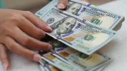 Giá USD hôm nay 10/6: VND mất giá 1,8%, nhiều khả năng suy yếu vào cuối năm