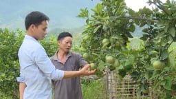Khơi dậy tiềm năng, thúc đẩy kinh tế vùng dân tộc thiểu số