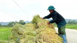 Đây, một vùng đất trù phú bậc nhất đất Tuyên Quang, nơi từng đặt xưởng in tiền, trước giờ sáp nhập tỉnh, bỏ cấp huyện