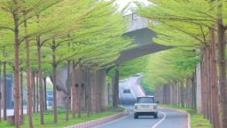 Hà Nội giao hơn 30.000m² đất xây dựng, cải tạo nhiều công trình công cộng