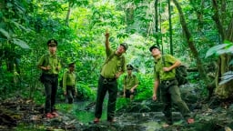 Tỉnh mới Ninh Bình, đây vẫn là khu rừng động vật hoang dã có trong sách đỏ Việt Nam được bảo vệ tốt