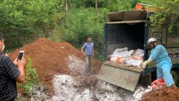 Sơn La: Ứng phó dịch tả lợn Châu Phi, đảm bảo an toàn chăn nuôi 