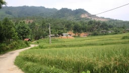 Dân giàu, đường mở, cảnh quan tươi mới ở Cốc Lầu (Lào Cai)