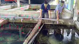 Trước ngày về thành phố mới Cần Thơ, Hậu Giang công bố một chỉ số quan trọng