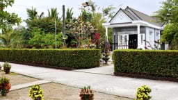 Nông thôn mới một nơi ở Cà Mau đẹp như phim thế này đây, đường hoa bung nở, nhà to như biệt thự