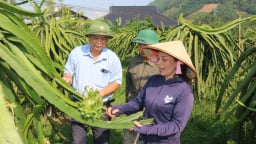 Người gieo 'quả ngọt' trên đất Đồng Yên ở Hà Giang