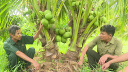 Trước giờ về tỉnh mới tên Lâm Đồng, ở Bình Thuận, nông dân nuôi thành công con đặc sản giống mới, cây đặc sản giống mới