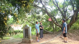Cận kề ngày sáp nhập Hải Phòng, người Hải Dương nâng niu, trân trọng, gìn giữ hồn đất, tình quê