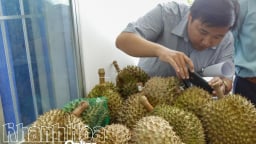 Trước giờ cận kề sáp nhập Ninh Thuận, Khánh Hòa có một điểm sáng quan trọng về loại đặc sản trái cây xuất khẩu