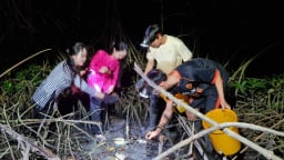 Đêm tối lội vô một khu rừng nổi tiếng Cà Mau bắt con tên mắc cười, 10 người vào 10 người vui