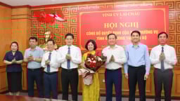 Nữ Chánh Văn phòng Tỉnh ủy Lai Châu vừa được bổ nhiệm là ai?