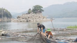Giờ sáp nhập cận kề tỉnh Vĩnh Phúc, Phú Thọ, ở Hòa Bình “mặt nước chuyên dùng” ở Cao Phong, vùng lặng sóng hay điểm nóng quản lý?