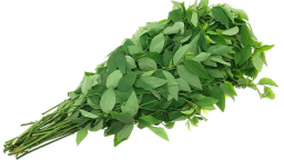 Vò nát rau ngót trước khi nấu sẽ tăng giá trị dinh dưỡng lên nhiều lần? 