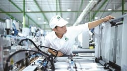 Chính thức về 'chung nhà' với Hải Phòng, Hải Dương 'mang theo một gia tài' xanh quan trọng