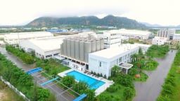 Sabibeco: Lỗ lũy kế hơn nửa nghìn tỷ, bất ngờ báo lãi trong quý I/2025