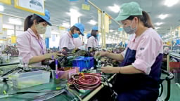 Quy định mới nhất về chế độ thai sản cho phụ nữ mang thai hộ