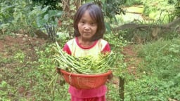 Cha nghèo bật khóc nhìn con bỏng nặng vẫn ôm sách học bài: 'Ước có tiền để con được lành lặn'