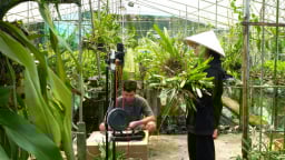Giờ phút sáp nhập tỉnh Tây Ninh cận kề, ở Long An, nông dân số hóa nông sản, mở rộng thị trường
