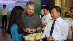 Sơn La: Bứt phá ngoạn mục, 4 huyện thoát nghèo, 74 xã đạt chuẩn nông thôn mới