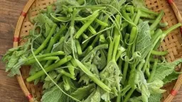Loại rau bổ dưỡng chẳng kém “nhân sâm”, cực sẵn ở chợ, giá chỉ vài nghìn một bó