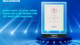 Sacombank 4 năm liền dẫn đầu lĩnh vực ngoại hối và thị trường vốn