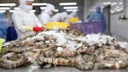 Doanh số 6 tháng đầu năm của Sao Ta đạt 135,6 triệu USD, tăng 43%