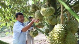 Sau sáp nhập, tỉnh Đắk Lắk nhìn thấy 'thời điểm vàng' tái cơ cấu ngành nông nghiệp, khẩn trương làm một loạt công việc 
