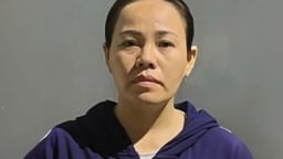 Vụ đầu độc hàng loạt người thân bằng Xyanua ở Đồng Nai: Nữ quái đối diện truy tố tội giết người với khung hình phạt tử hình
