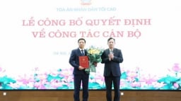 Phó vụ trưởng của Viện KSND tối cao được bổ nhiệm giữ chức Chánh thanh tra TAND tối cao