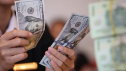 Giá USD hôm nay 15/7: Tỷ giá trung tâm đảo chiều tăng mạnh