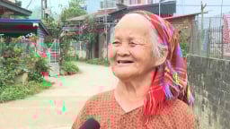 Một bản nghèo của người Dao ở phía Bắc Thái Nguyên bất ngờ trở thành vùng đất triệu phú nhờ trồng rừng