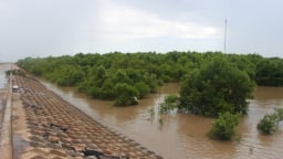 Hơn 15 ngày sau sáp nhập tỉnh Bạc Liêu, Chủ tịch UBND tỉnh Cà Mau có công văn khẩn yêu cầu ứng phó với điều này