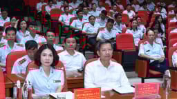 Hải Phòng thực hiện hơn 600 cuộc thanh tra, phát hiện vi phạm hơn 79,8 tỷ đồng
