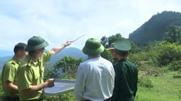 Nâng cao hiểu biết Luật Lâm nghiệp trong vùng đồng bào dân tộc thiểu số