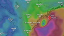 Tin bão mới nhất: Bão số 3 WIPHA áp sát Hưng Yên, Ninh Bình, Thanh Hóa, hướng đi và tác động của bão có gì bất thường?