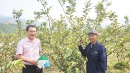 Sau hợp nhất, Đà Nẵng giải ngân gần 126 tỷ đồng vốn ưu đãi cho người nghèo
