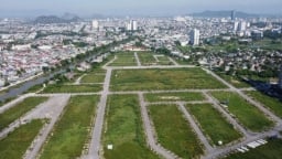 Thị trường đất nền chững lại sau cơn sốt sáp nhập từ đầu năm