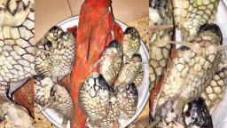 Cá hiếm mang tên một loại quả, khai thác ở Phú Yên, Khánh Hòa (cũ), ăn một lần nhớ mãi