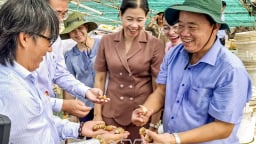 Chán con tôm, ở tỉnh Cà Mau xuất hiện 2 mô hình bạc tỷ, nông dân đang truyền tai nhau đến học hỏi