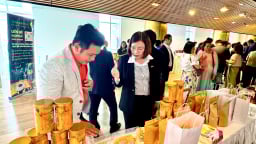 7 tháng đầu năm Khánh Hòa đón hơn 10,8 triệu lượt khách