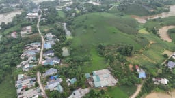 'Cây hạnh phúc' giúp nông dân một phường của tỉnh Tuyên Quang thoát nghèo, làm giàu