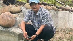 Nuôi con đặc sản hiền khô, dễ như ăn kẹo ở tỉnh Phú Yên cũ, bắt bao nhiêu bán hết bấy nhiêu