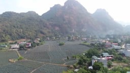 Nông thôn Tây Bắc: Bản làng giàu đẹp, đổi thay từ sức dân
