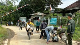Thứ cây rừng kỳ lạ ở Đà Nẵng (mới), quả mang hạt ngon bay khắp nơi, dân đi nhặt bán 700.000 đồng/kg