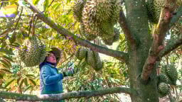 Một vùng đất ở tỉnh Lâm Đồng xuống cây trồng nào cũng tươi tốt, dân giàu lên, người ta gọi là 'đất chiều lòng người'