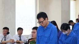 Nguyên Tổng Biên tập Tạp chí Môi trường và Đô thị lĩnh án 13 năm 6 tháng tù, có bị cáo được trả tự do tại toà
