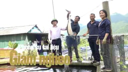 Nguồn vốn ưu đãi - 'Chiếc đũa thần' thay đổi cuộc sống, mở ra cơ hội thoát nghèo nơi vùng cao Tam Đường