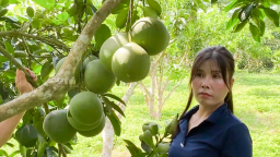 Một hợp tác xã làm nông nghiệp sạch ở Tuyên Quang giúp hồi sinh đất, nông dân đổi đời 