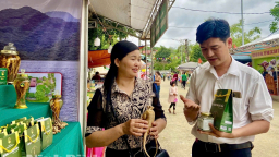 Tỉnh Ninh Bình mới có tiềm năng khổng lồ từ trồng cây dược liệu, chế biến dược liệu sau sáp nhập tỉnh Nam Định, Hà Nam
